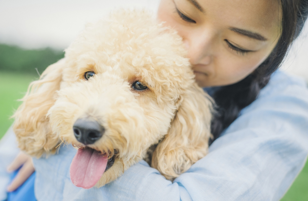 ペットの害虫対策
